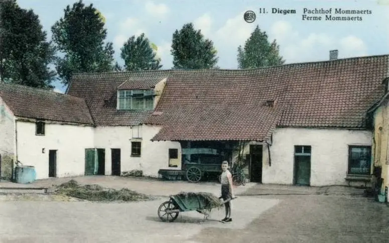 Ingekleurde prentkaart van hoeve Mommaerts en het erf.