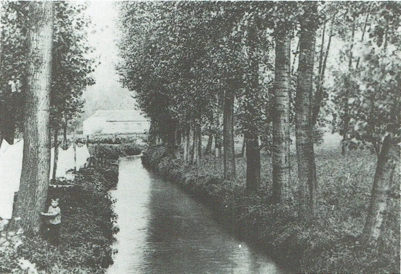Wandeling langs de Woluwe; in de verte de St.-Katarinamolen.