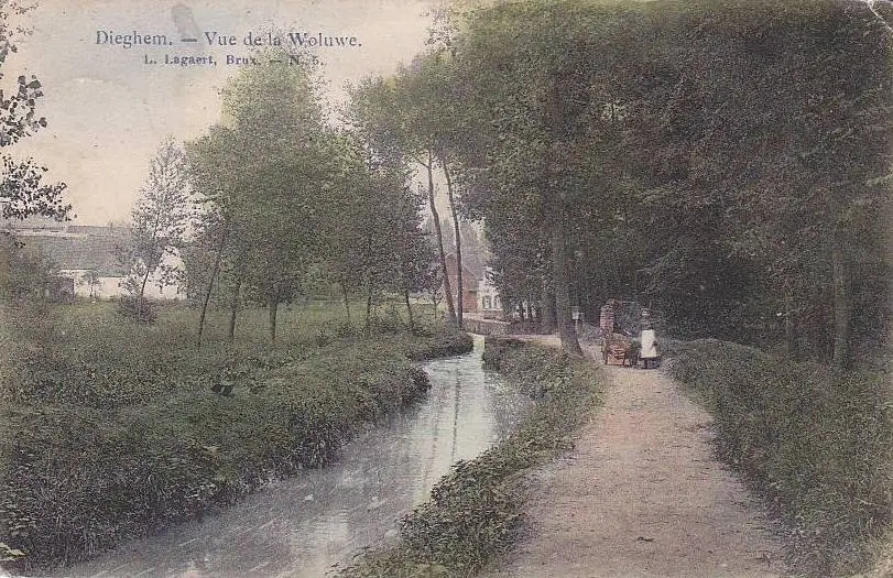 Oude prentkaart: de Woluwe met een pad en bomen.